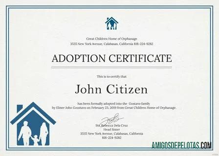 Certificado de adoção do lar de orfanatos Great Children de Nova York baixar para verificação